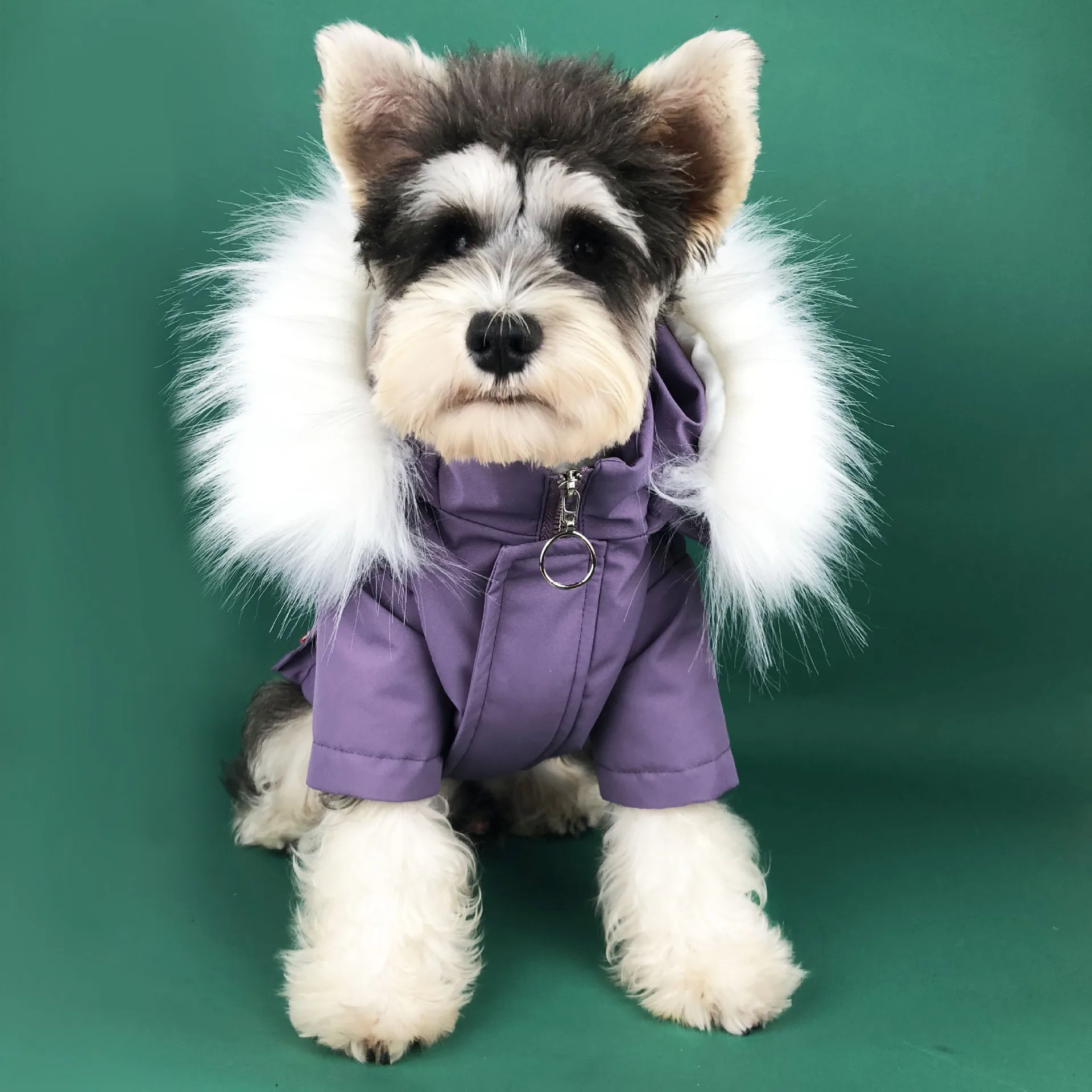 Luksuzni Pet Oblačila za Pse, Dol Suknjič Toplo Zimo francoski Buldog Debele Chihuahua pug Teddy Pomorjansko štirinožni kuža oblačila