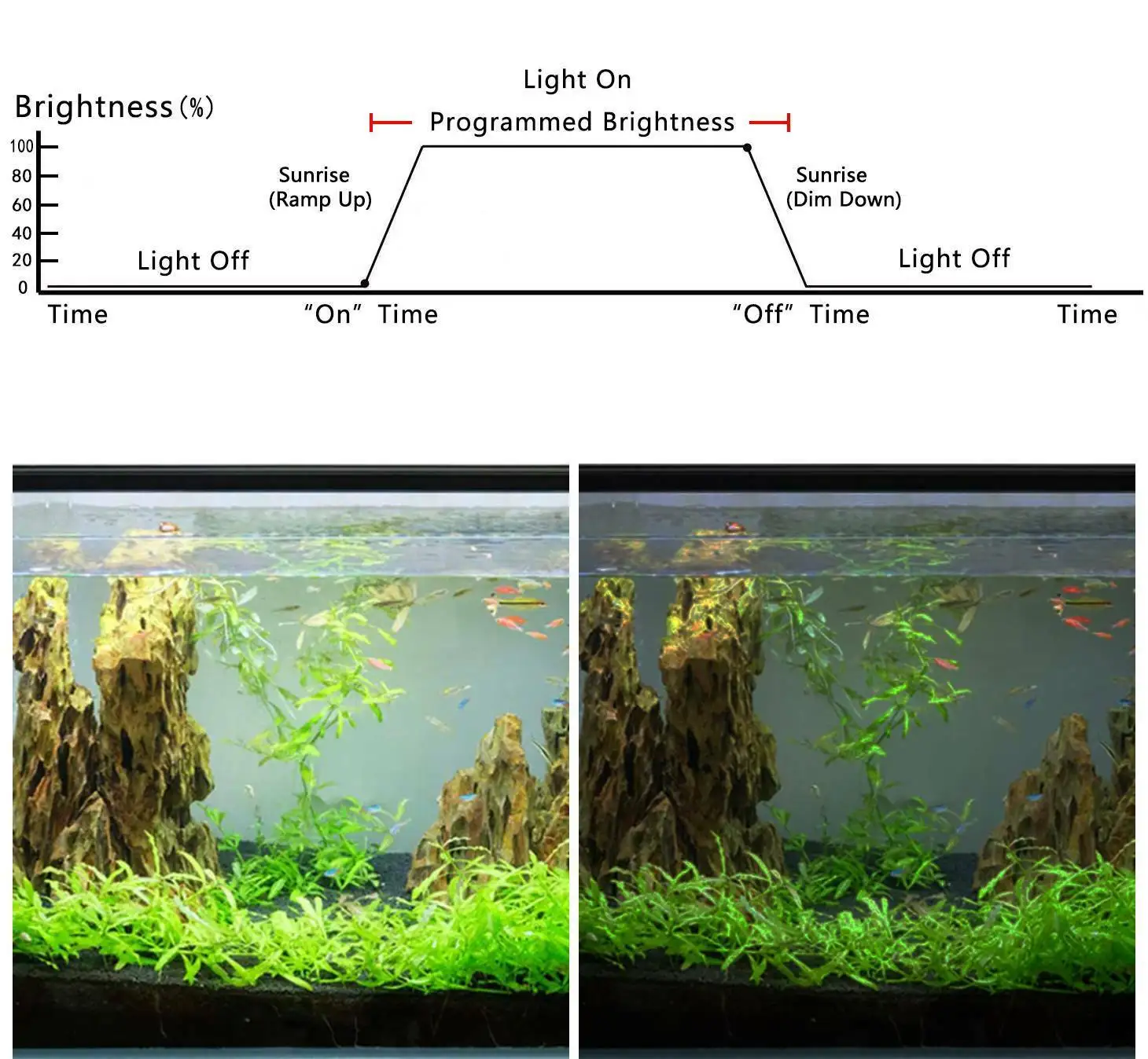 Akvarijske Luči LED Dimmer Krmilnik Vzhod Zahod Modulator Za Aquarium Fish Tank Led Inteligentnimi Čas Zatemnitev Sistem