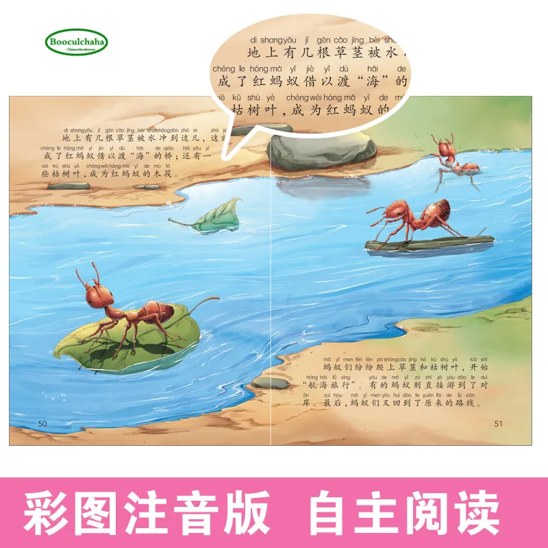 NewFabre insektov znanost sliko zgodba knjige z pinyin za otroke starosti 3-6
