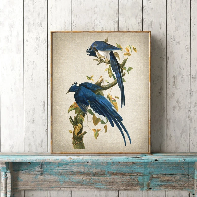 Trgatev Modre Ptice Vejo Čiščenje Perja Hranjenje Plakat Platno, Slikarstvo, Umetnost Tiskanje Slik, Dnevna Soba Dekoracijo Doma