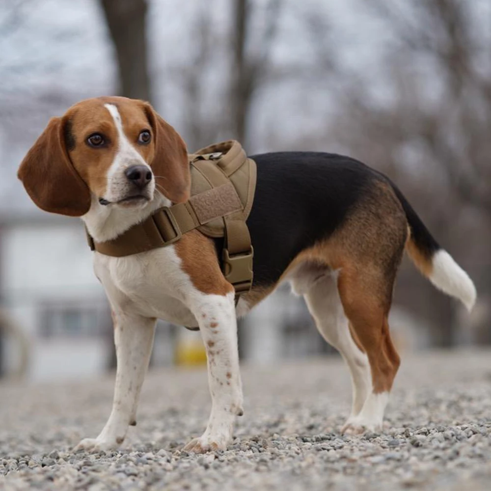 Taktično Pes Pas Vojaške Patrulje K9, ki Delajo Pet Pes Ovratnik, Pas Usposabljanje Telovnik Z Ročajem Za Majhne in Velike Pse