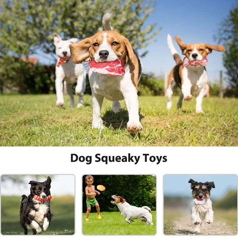 Novo Pes Spregovorili Igrače Kuža Žvečiti 10 Pack Igrače za Pse z Večino Squeakers, Mehko Hrano Obliko Jjeza Igrača za Majhne, Srednje Pse