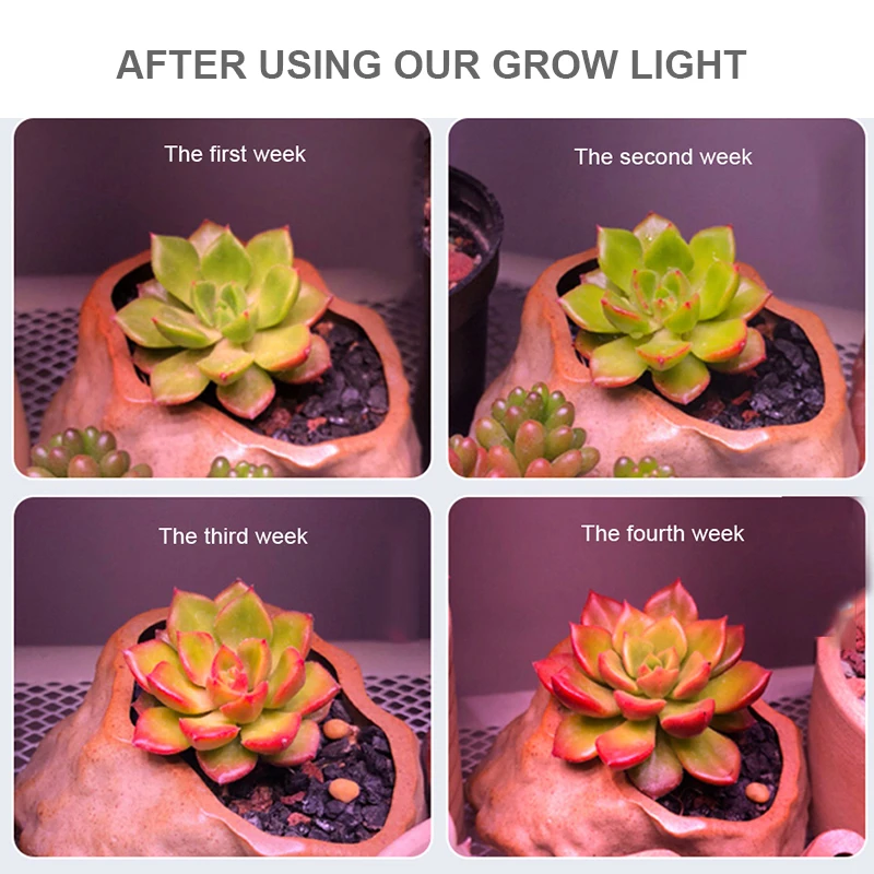 COB LED Grow Light 300W Celoten Spekter Led Svetila Za Rast Rastlin, Lučka Za Sejanje Rastlin Pridelovanje Cvetja Šotor Zaprtih Fito