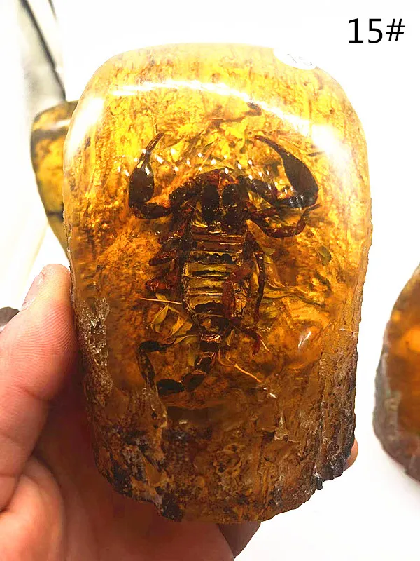Rumena čebelji vosek kamen insektov Po okraski res scorpion osebkov obrti dnevno sobo okraski na debelo