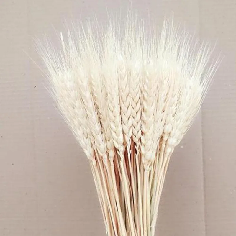 50pcs/100 kozarcev Pšenice, Jeseni Dekoracijo Pampe Travo Obrti Cvetovi Posušene Rože za Poročno Dekoracijo Pšenice