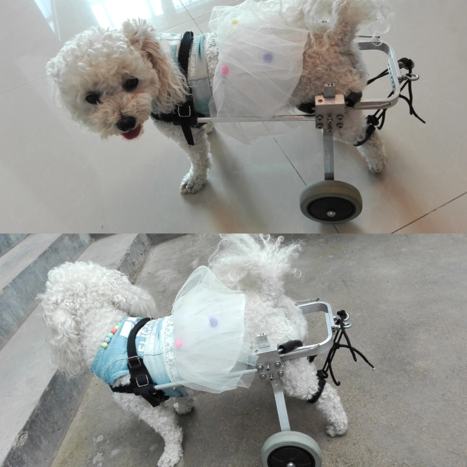 RU/UK 2-Kolesni Invalide Paraliziran Pet Voziček / Paralizo Pes Skuter / Onemogočeno Mačka /Pes Rehabilitacijo Wheelchchair S/M/L