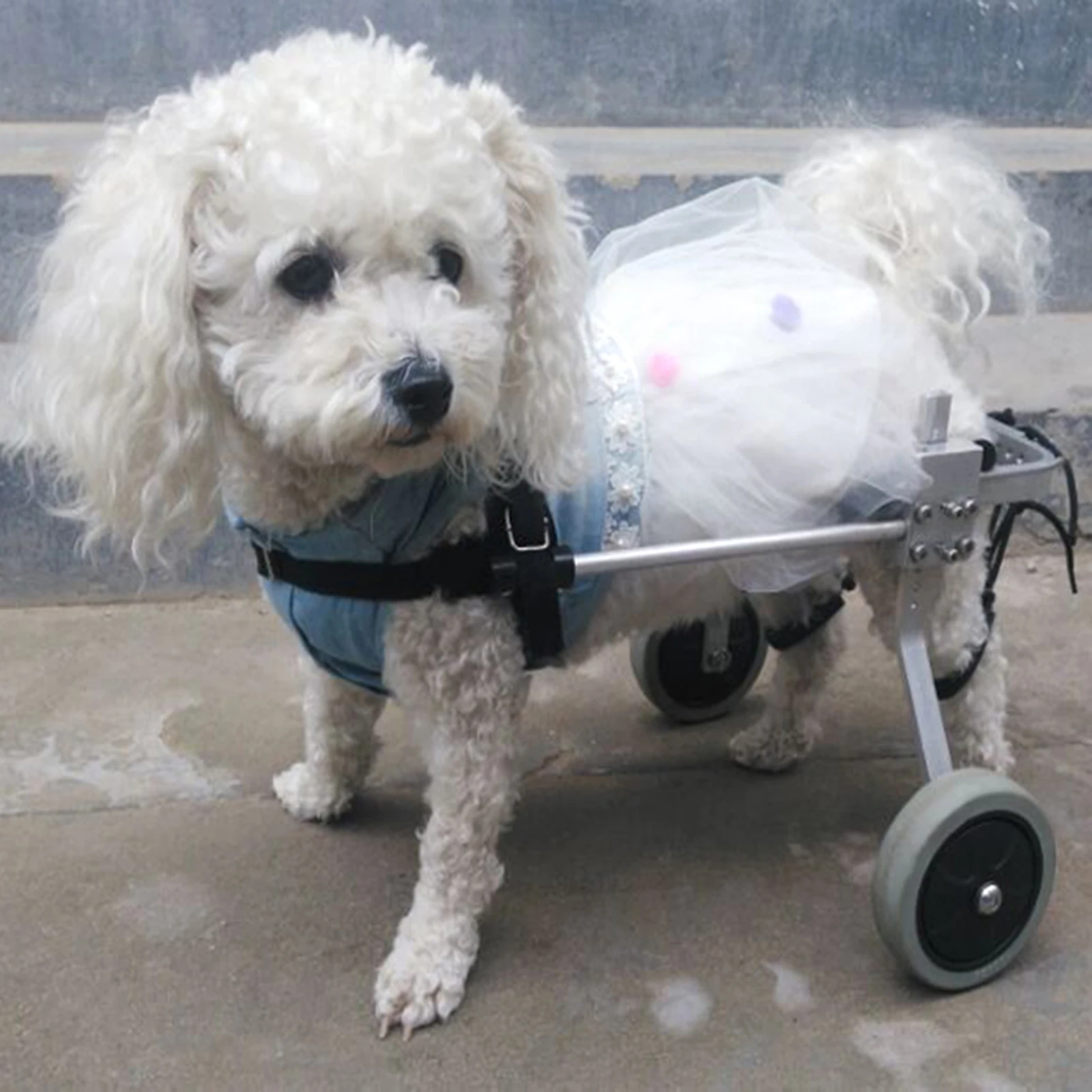 RU/UK 2-Kolesni Invalide Paraliziran Pet Voziček / Paralizo Pes Skuter / Onemogočeno Mačka /Pes Rehabilitacijo Wheelchchair S/M/L