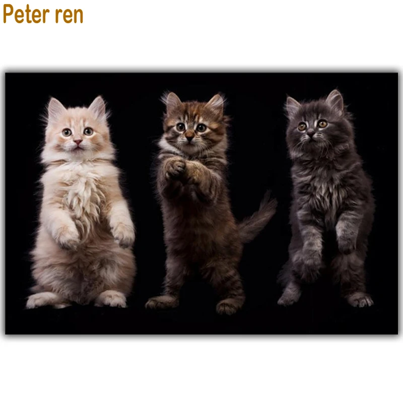 Peter ren Diamond slikarstvo Modularni slike s številkami mačke 5d Krog\Kvadratnih vaja Mozaik ikono Polno vezenje 
