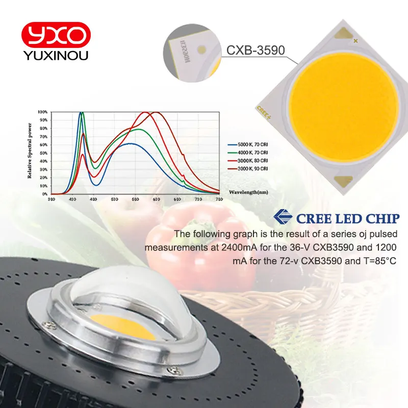 CREE CXB3590 COB LED Grow Light Celoten Spekter 100W Državljan LED Rastlin Raste Lučka za Notranji Šotor, v Rastlinjakih Hydroponic Rastlin