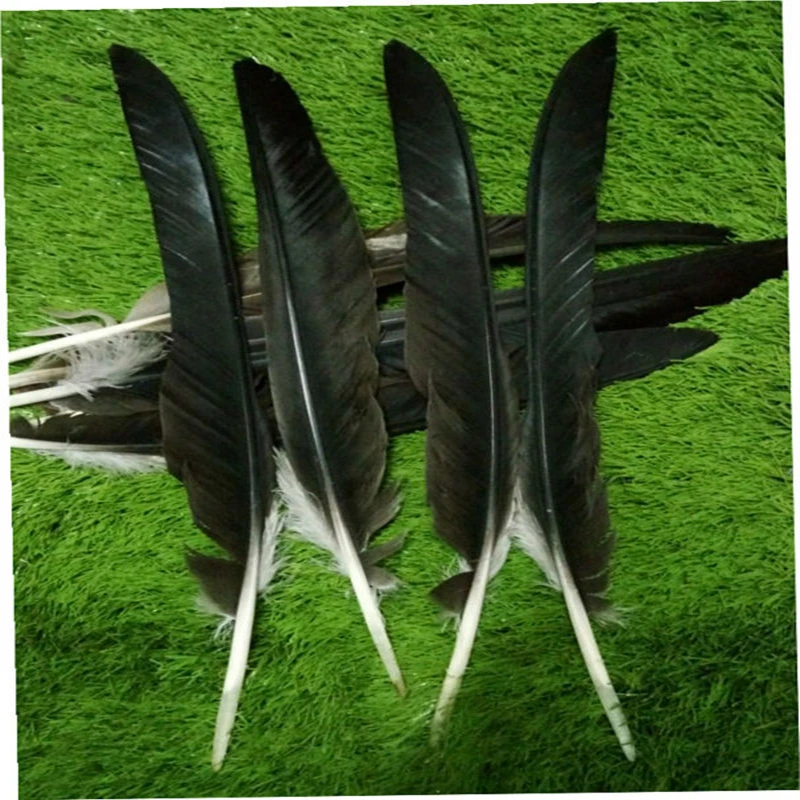 Lepo! 10 KOS dragocene naravne moški orel perje 20-22 cm/ 50-60 cm