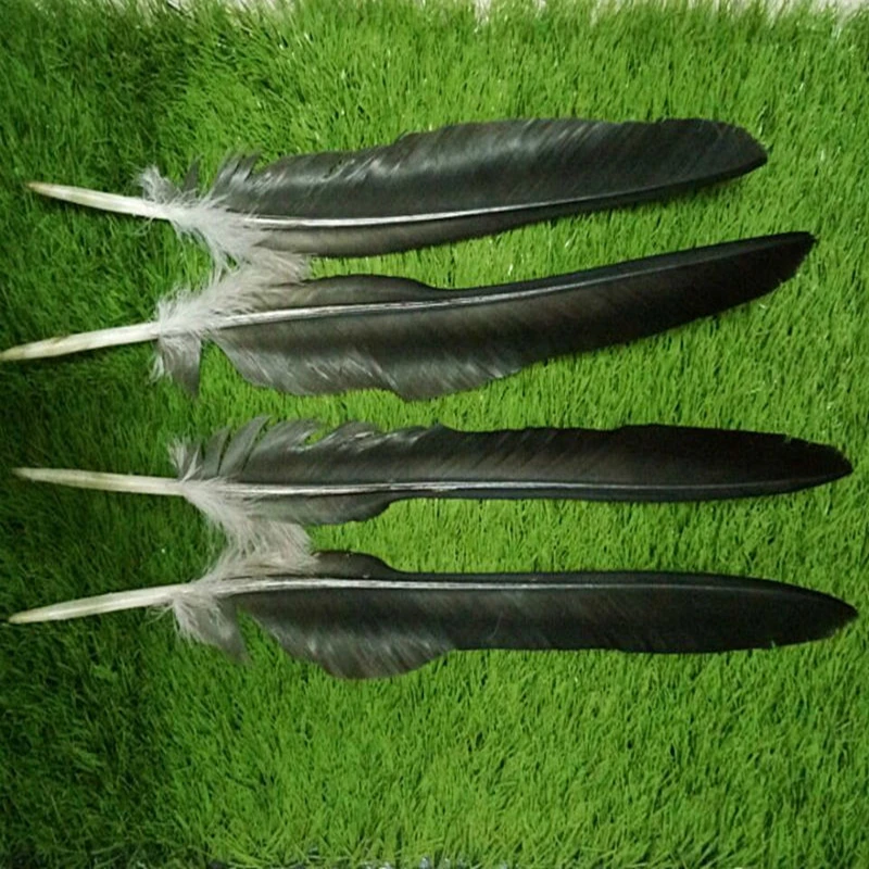 Lepo! 10 KOS dragocene naravne moški orel perje 20-22 cm/ 50-60 cm