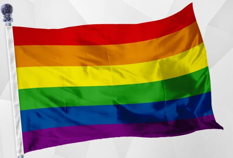 Strani Velike Smešno Mavrične Zastave Zda, Ameriški Gay Pansexual Biseksualec Rebel Zastav Lezbijke Drapeau Lgbt Prostem Decoracion EA60QZ