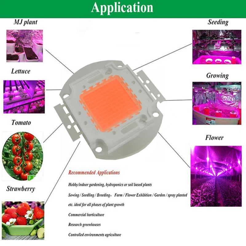 10pcs 50 w 100w Hydroponics Bridgelux LED Kroglice LED COB Rastejo Čip celoten spekter 400nm~840nm kritje rastlin vseh fazi toplogrednih