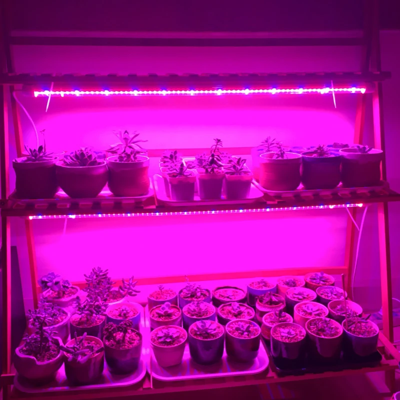5pcs Phytolamp Za Rastline v Zaprtih prostorih Gojenje Houseplants Sadika Raste Svetlobe Celoten Spekter Ffs Lučka LED Strokovni Razsvetljave