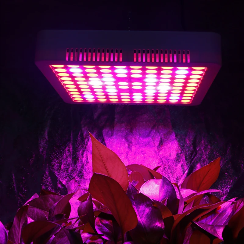 1000W Celoten Spekter LED Grow Light Svetilka Za Obrat Rdeča Modra Bela IR UV LED Lučke Za Notranjo Gojenje Fitolampy Fitolamp Z Ventilatorjem