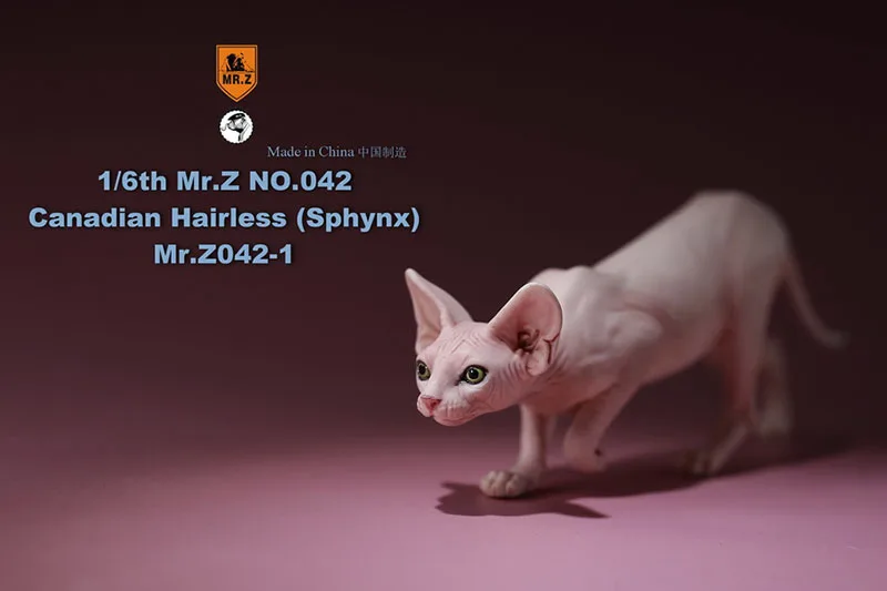 G. Ž 1/6 Kanadski Št 040-BS Hairless Mačka Sphynx Simulacija Modela Igrača Živali Statični Model za 12 