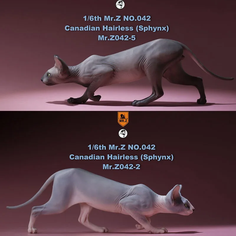 G. Ž 1/6 Kanadski Št 040-BS Hairless Mačka Sphynx Simulacija Modela Igrača Živali Statični Model za 12 