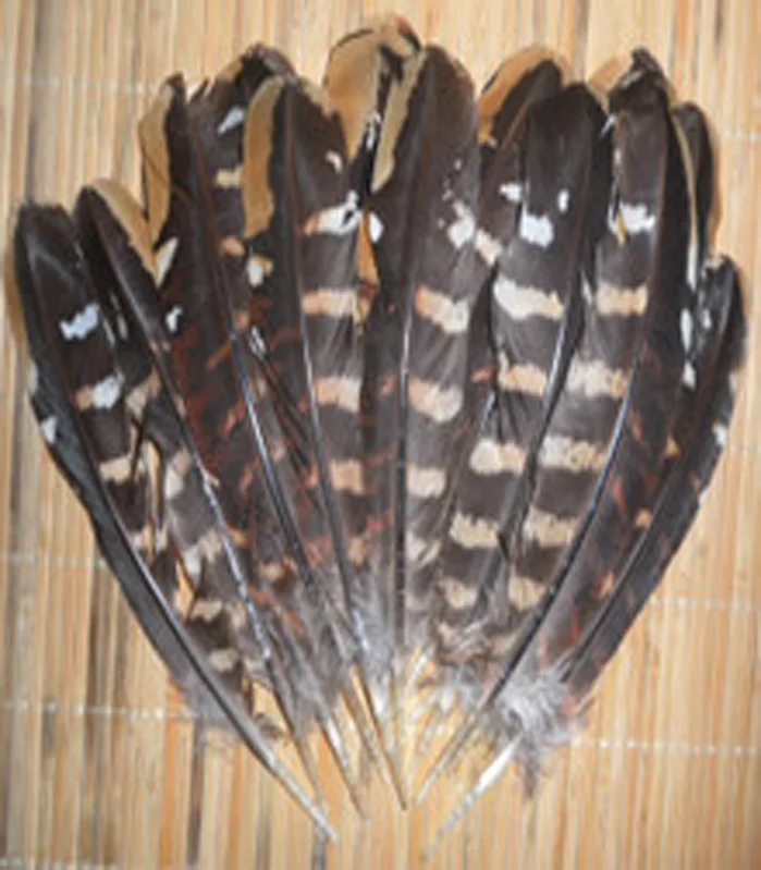 Brezplačna dostava na debelo 100 kozarcev visoko kakovost naravnega Divje fazan perje 12-18 cm / 5-7 palčni različne dekorativne in zbiranje