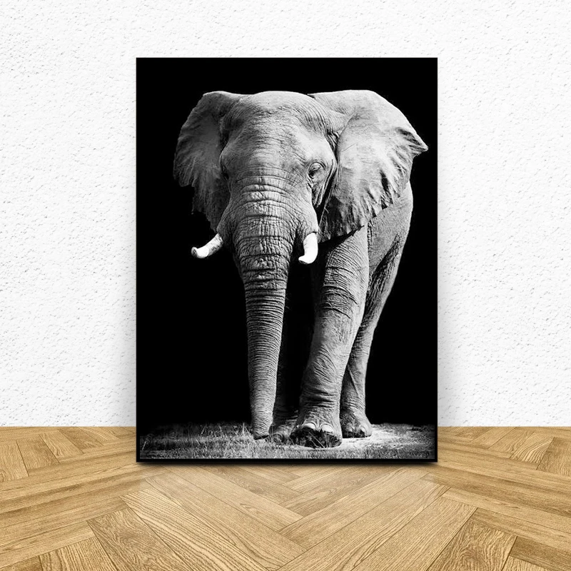 Afriški Divji Slon Živali Platna Slike Na Steni Umetnosti Plakatov In Fotografij Živali Platno Umetniške Slike Dekoracijo Sten