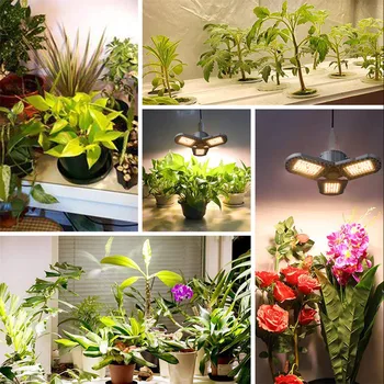 COB LED Grow Light NLP Rastlin Luči Deformirljiva 144LED 300W Celoten Spekter E26 E27 Za Sobne Rastline Toplogrednih Zelenjave Cvetenja